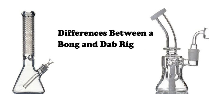 Was Ist Der Unterschied Zwischen Bongs Und Dab Rigs? - Zamnesia Blog