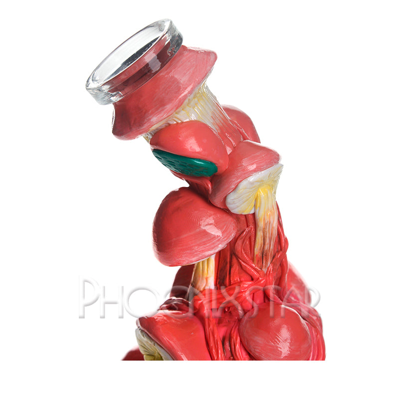Monster Bong Dab Rig 10" Mushroom Skull Bong Mini Bong